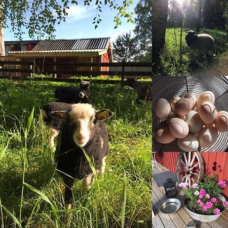 Lillemyrsgarden Vendégház Forshaga Kültér fotó